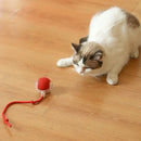 Bola auto elétrica rolling ball